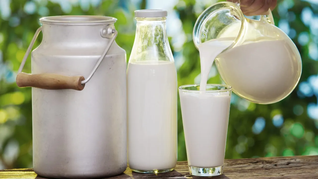 Milk Adulteration: కల్తీ పాలను గుర్తించడం ఎలా..?  తాగారో ఆరోగ్యానికి ముప్పే..!