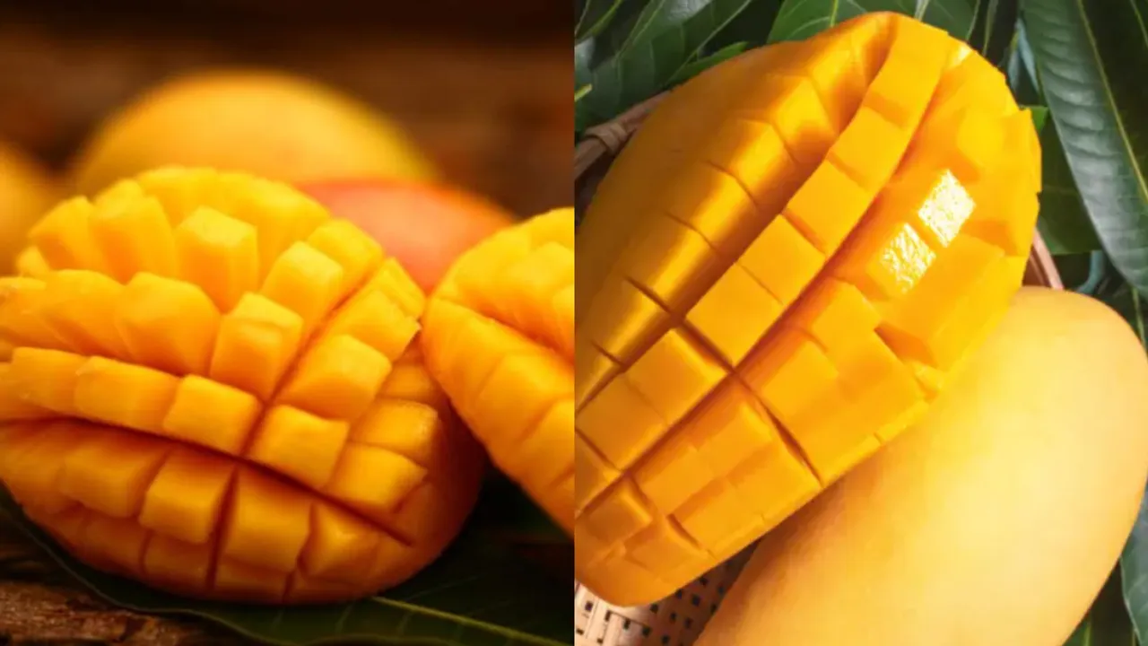 Mango: ఈ 5 ఆహారాలను మామిడి పండ్లతో కలిపి అస్సలు తినకండి