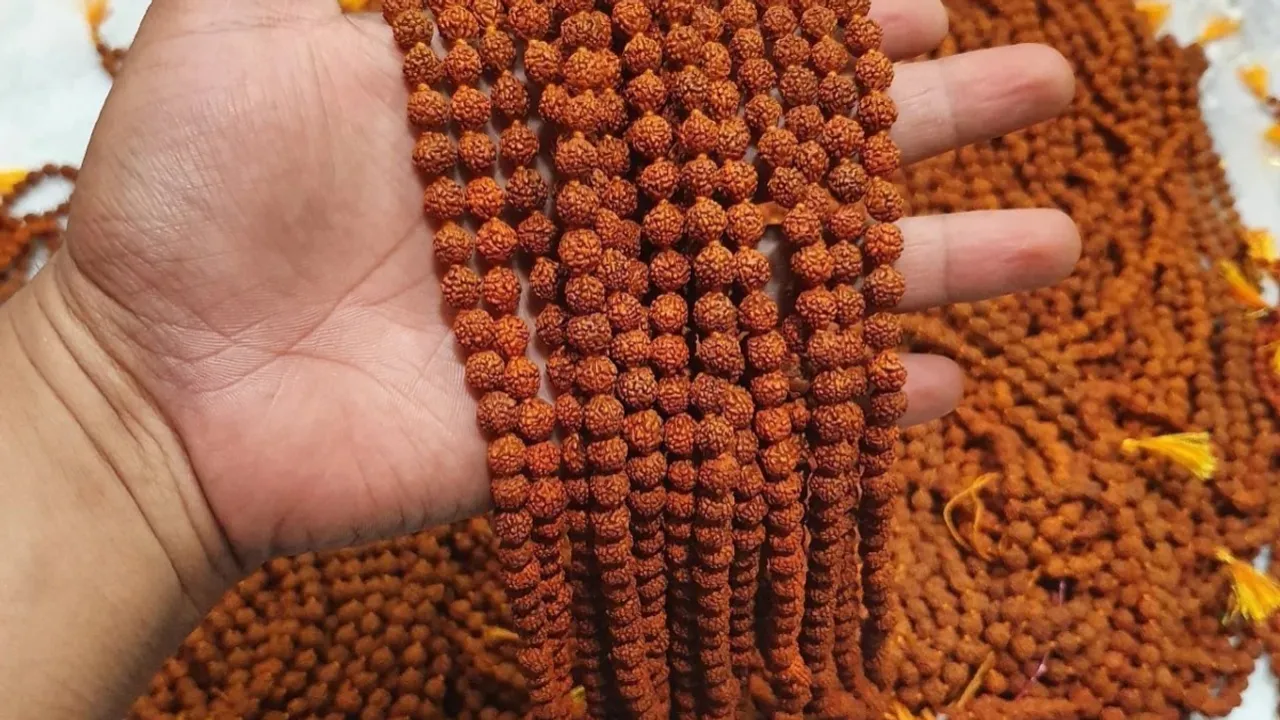 Rudraksha: రుద్రాక్షలో ఇన్ని ఔషధ గుణాలు ఉన్నాయా..?