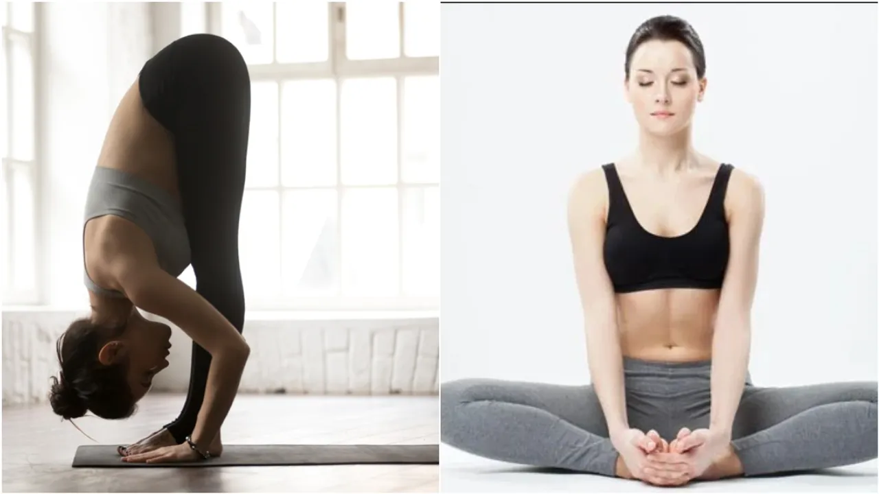 Yoga: మహిళలకు ఎంతో ముఖ్యమైన యోగాసనాలు.. తప్పక తెలుసుకోండి..!