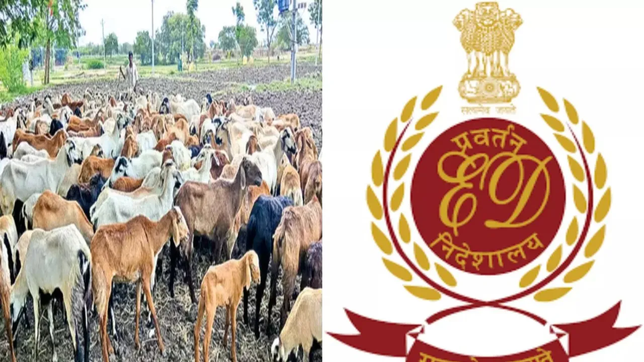 Sheep Distribution Scam: బీఆర్ఎస్‌కు షాక్.. ఈడీ దూకుడు