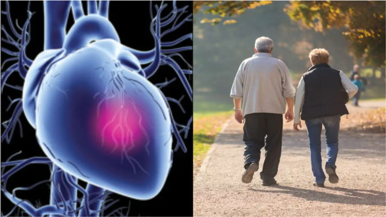 Health Tips: ఈ మెడిసన్‌ ప్రత్యేకంగా వృద్ధుల కోసమే.. ఇది గుండె జబ్బులతో పాటు అకాల మరణ ప్రమాదాన్ని తగ్గిస్తుంది!