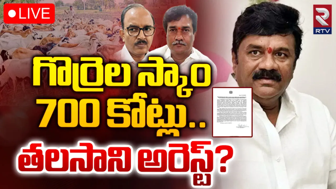 Sheep Distribution scheme: గొర్రెల పంపిణీ స్కాం  @700 కోట్లు