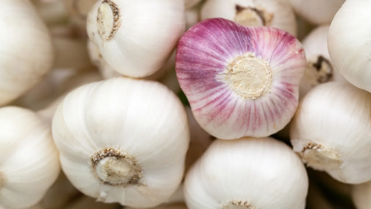 Garlic: వెల్లుల్లి మీ ఆరోగ్యానికి గేమ్ ఛేంజర్.. ఎలాగంటే?
