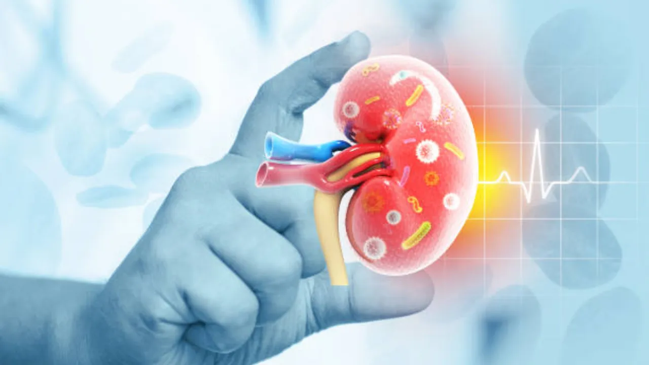 kidney: ఒక కిడ్నీ పాడైతే, మరొకటి ఎంతకాలం ఉంటుంది? ఇక్కడ తెలుసుకోండి