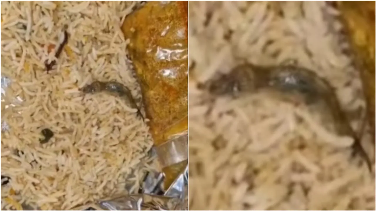 Biryani: బిర్యానీలో బల్లి.. ప్రశ్నించిన కస్టమర్ పై హోటల్ యజమాని దౌర్జన్యం!