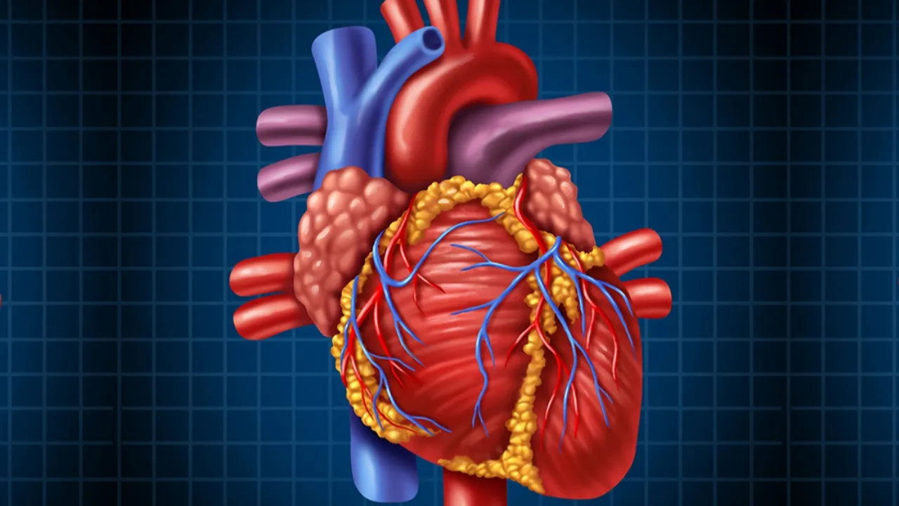 Heart Problem: గుండెకు నీరు పట్టిందా? ఇది క్యాన్సర్‌కు సంకేతమా?