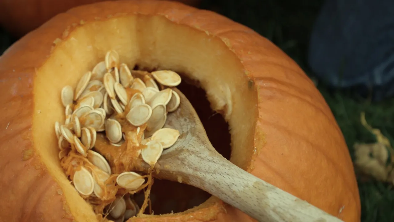 Pumpkin Seeds: గుమ్మడి గింజలను ఇలా వాడండి.. మీ ముఖం తలతలా మెరిసిపోతుంది!