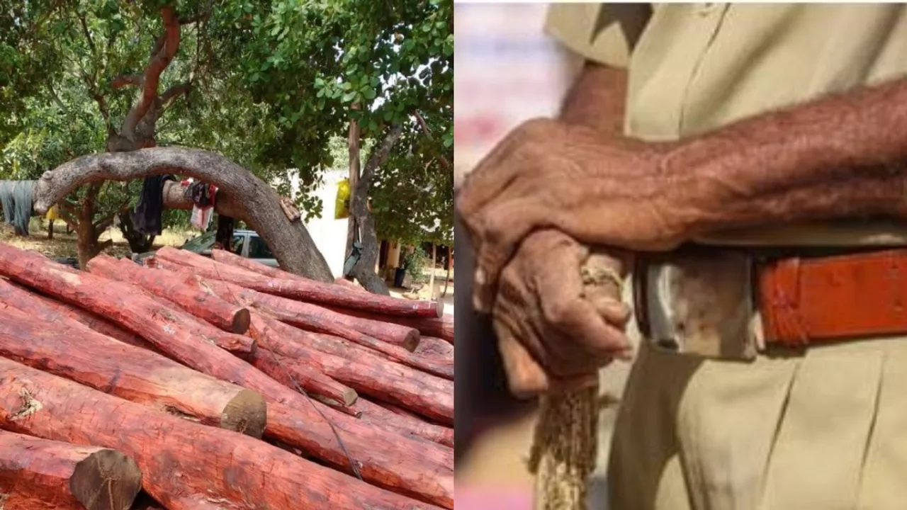 AP: కానిస్టేబుల్ కనుసన్నల్లో ఎర్రచందనం అక్రమ రవాణా..!