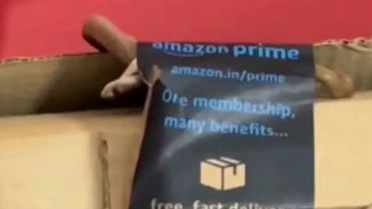 Amazon: అమెజాన్‌ పార్శిల్ లో పాము..షాకైన కస్టమర్‌!