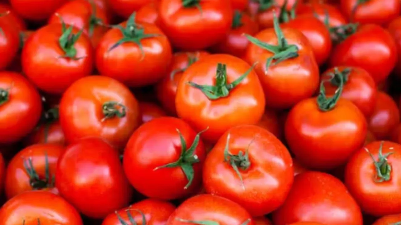 Vegetables :  కూరగాయల ధరలకు రెక్కలు..కిలో టమాటా ఎంతో తెలుసా?