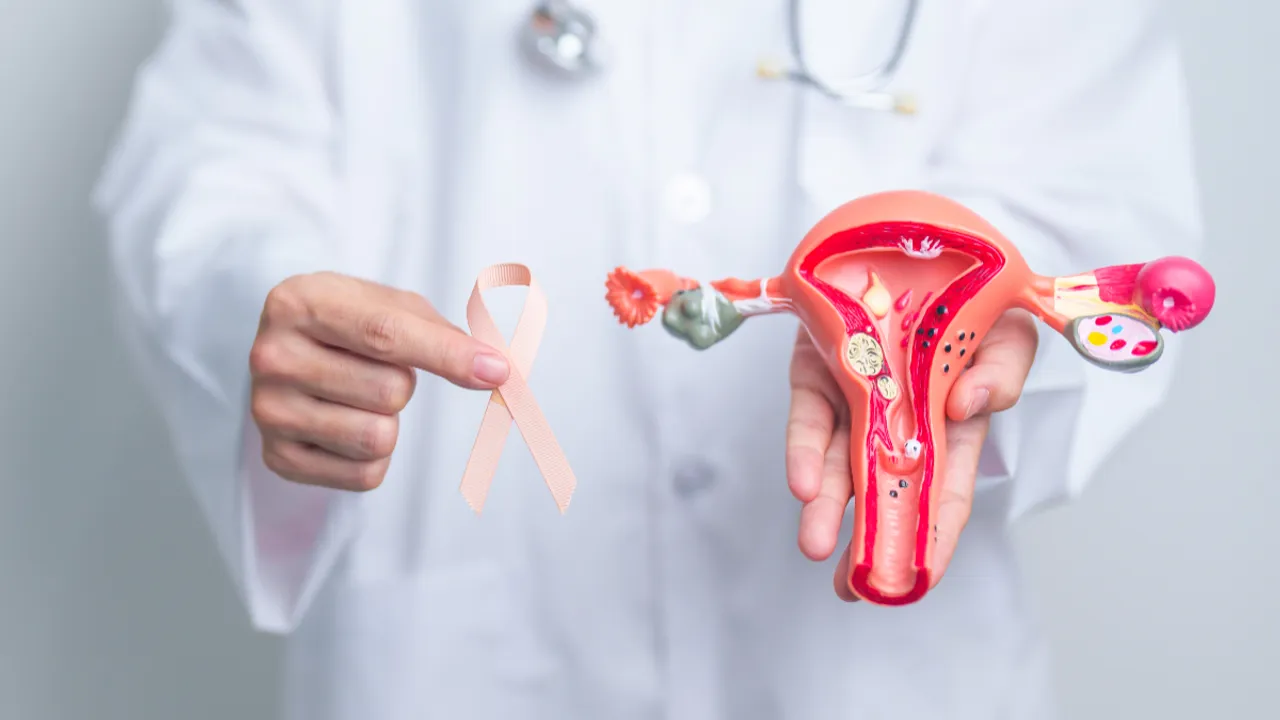 Women Health: కొంచెం అజాగ్రత్త, గర్భాశయాన్ని ప్రమాదంలో పడేస్తుంది.. ఇలా నివారించండి!