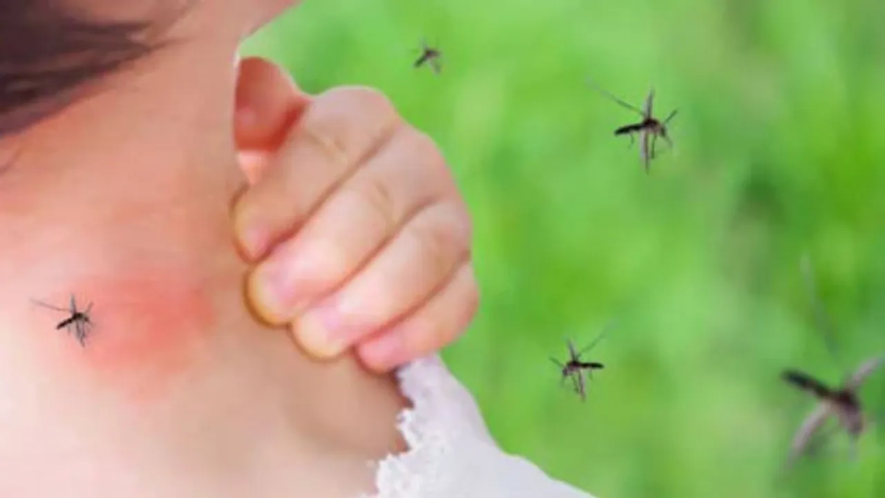 Dengue Symptoms: ఇవి డెంగీకి ఐదు ప్రధాన లక్షణాలు.. తప్పక తెలుసుకోండి!