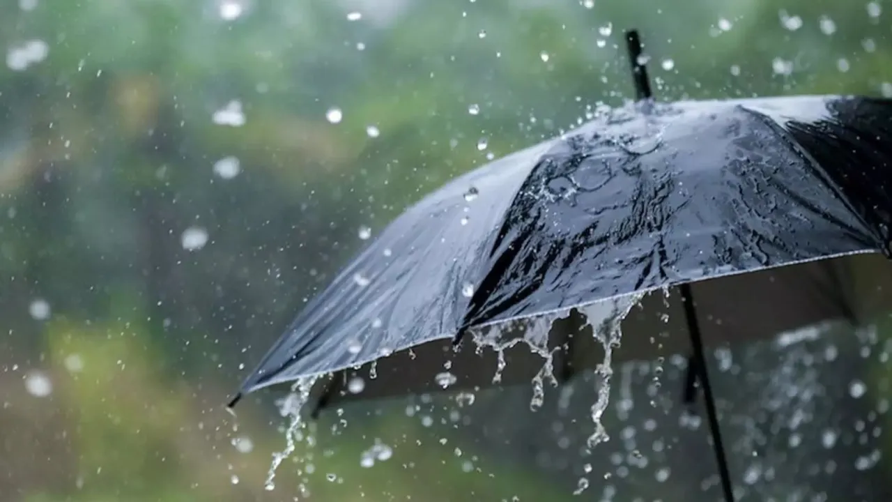 Rainy Season Tips: వర్షాకాలంలో ఈ వ్యాధులతో జాగ్రత్త!
