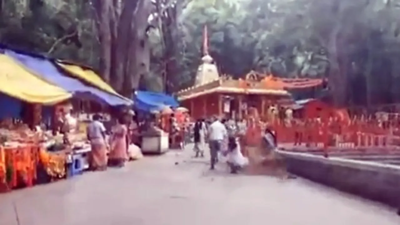 తిరుమలలో యువతిపై విరిగిపడ్డ చెట్టు కొమ్మ!