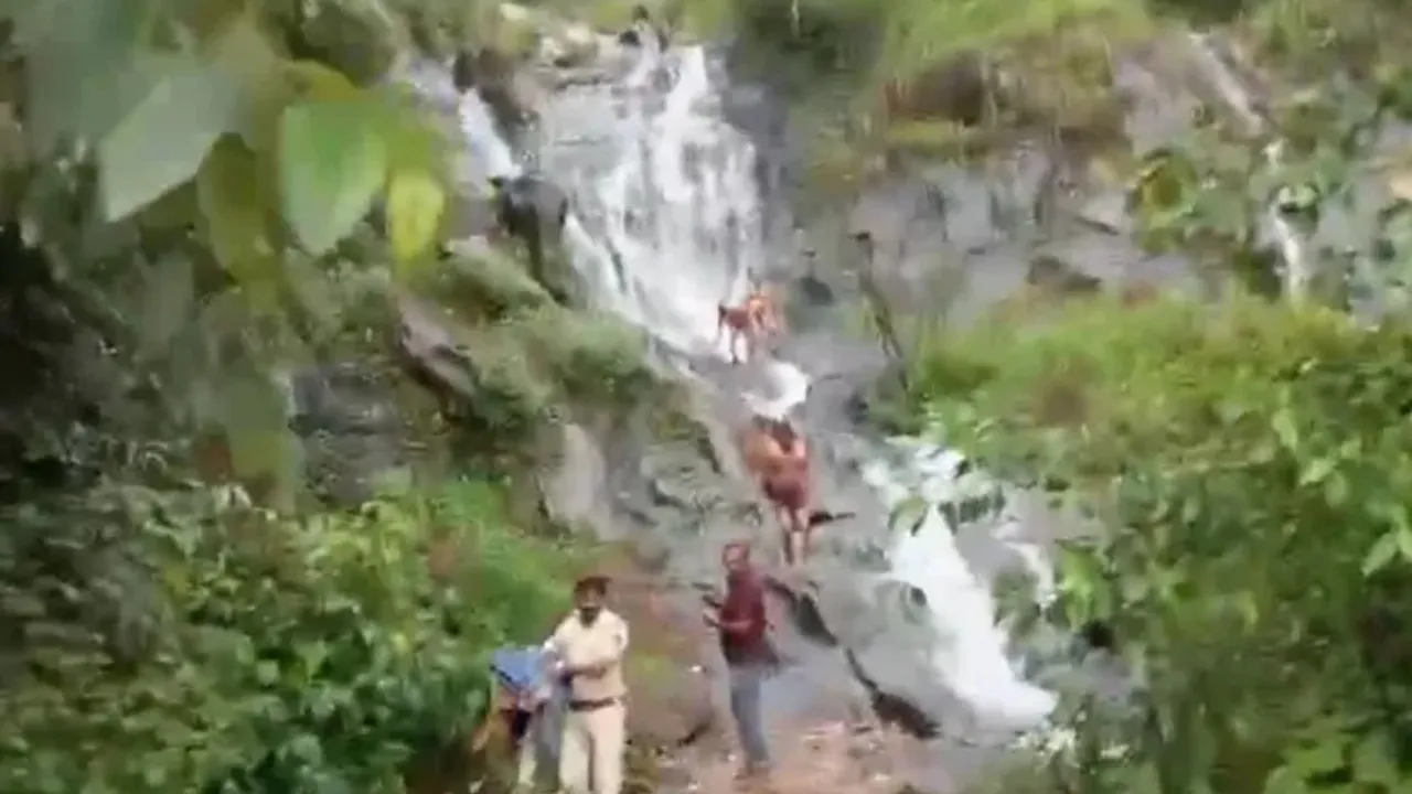 Waterfalls : టూరిస్టుల బట్టలెత్తుకెళ్లిన పోలీసులు.. ఎక్కడంటే ?