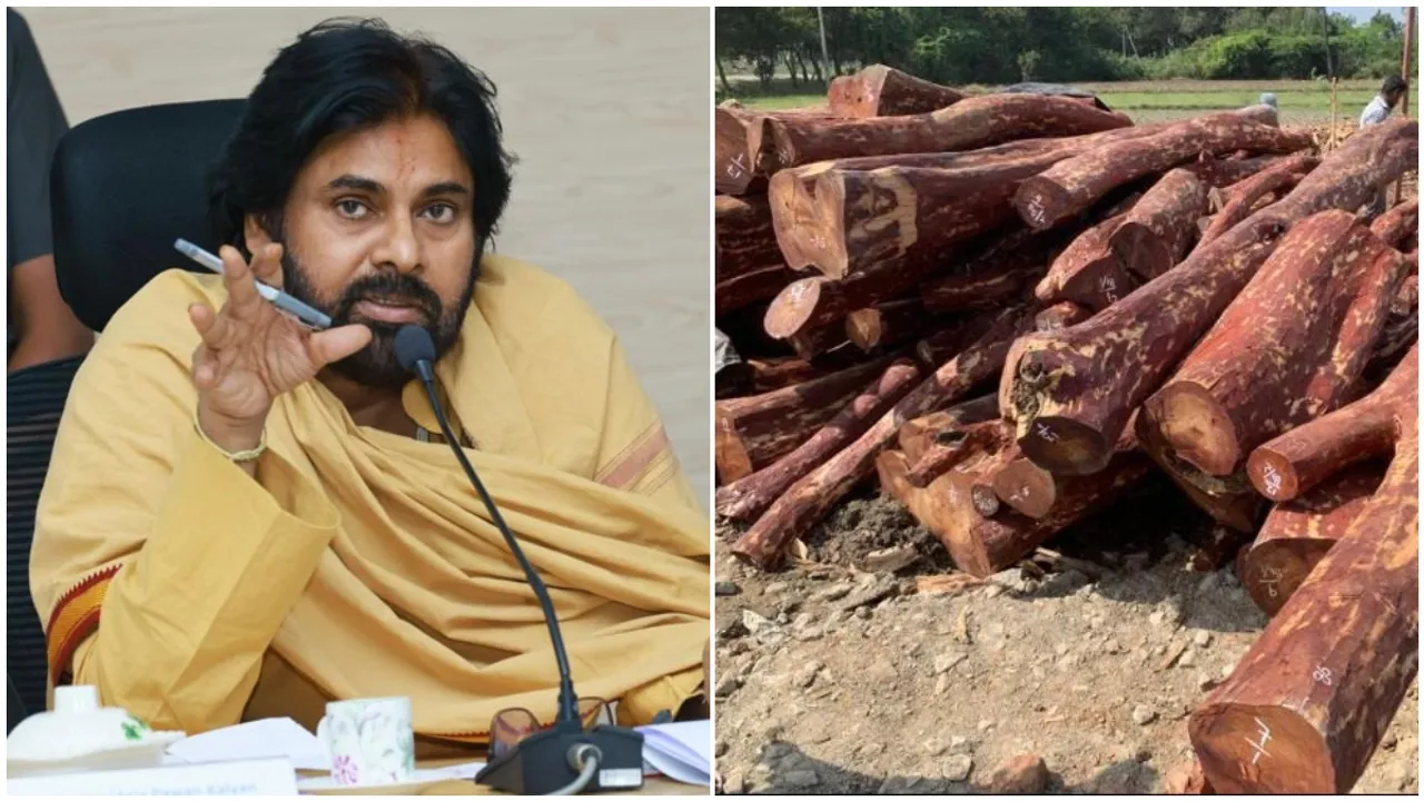 Red Sandalwood: ఎర్రచందనం స్మగ్లింగ్‌ పై పవన్ స్పెషల్ ఫోకస్.. పెద్ద తలకాయలే టార్గెట్!