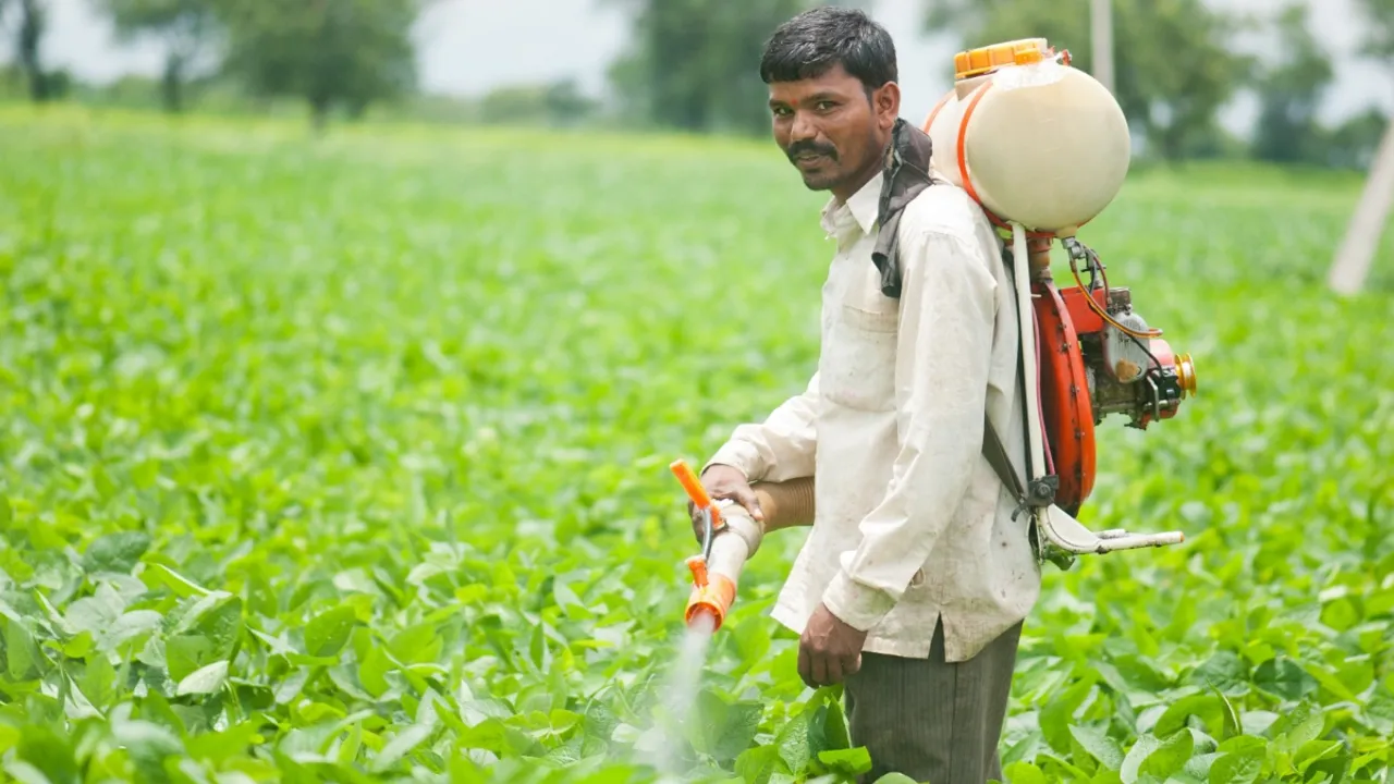 Pesticides: పురుగుల మందులతో క్యాన్సర్‌ ముప్పు.. పరిశోధనలో వెల్లడైన సంచలన నిజాలు