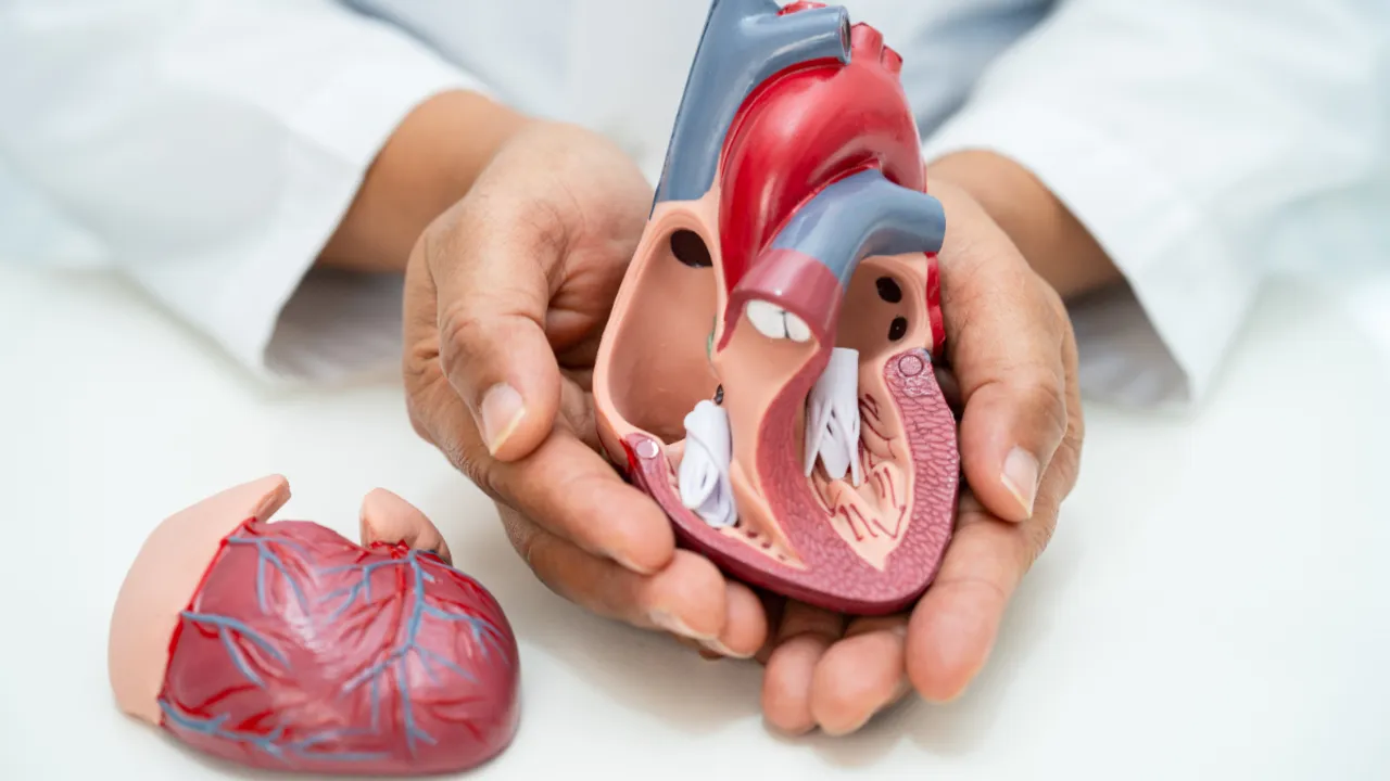 Heart Blockage: మీ రోజువారీ అలవాటులో ఇవి చేర్చుకుంటే గుండె చాలా సేఫ్!