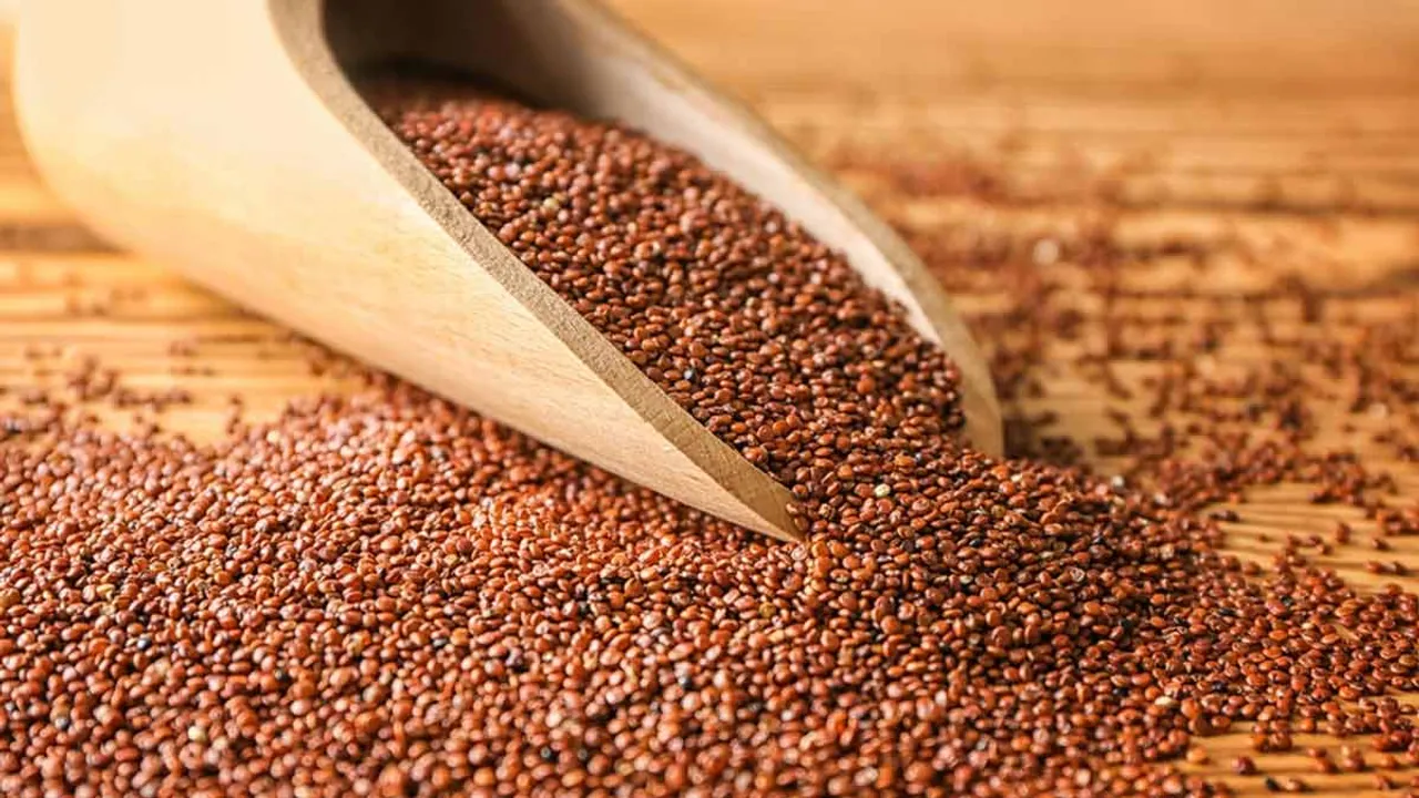 Halim Seeds: శరీరంలో రక్తం తక్కువగా ఉందా? ప్రతిరోజూ ఒక చెంచా హలీమ్ గింజలను తినండి!