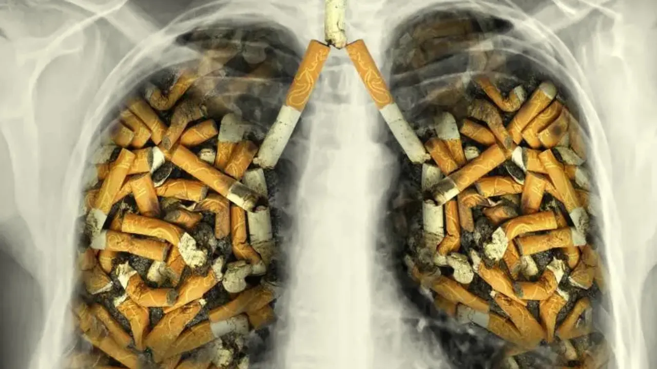 Cancer Increasing: సిగరెట్లు అదే పనిగా తాగితే ఊపిరితిత్తుల్లో జరిగేది ఇదే!