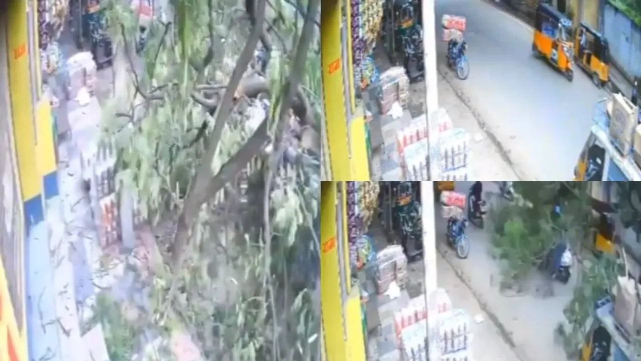 TS News: పాత‌బ‌స్తీలో దారుణం.. నడిరోడ్డుపై చెట్టు కూలీ 12 మంది