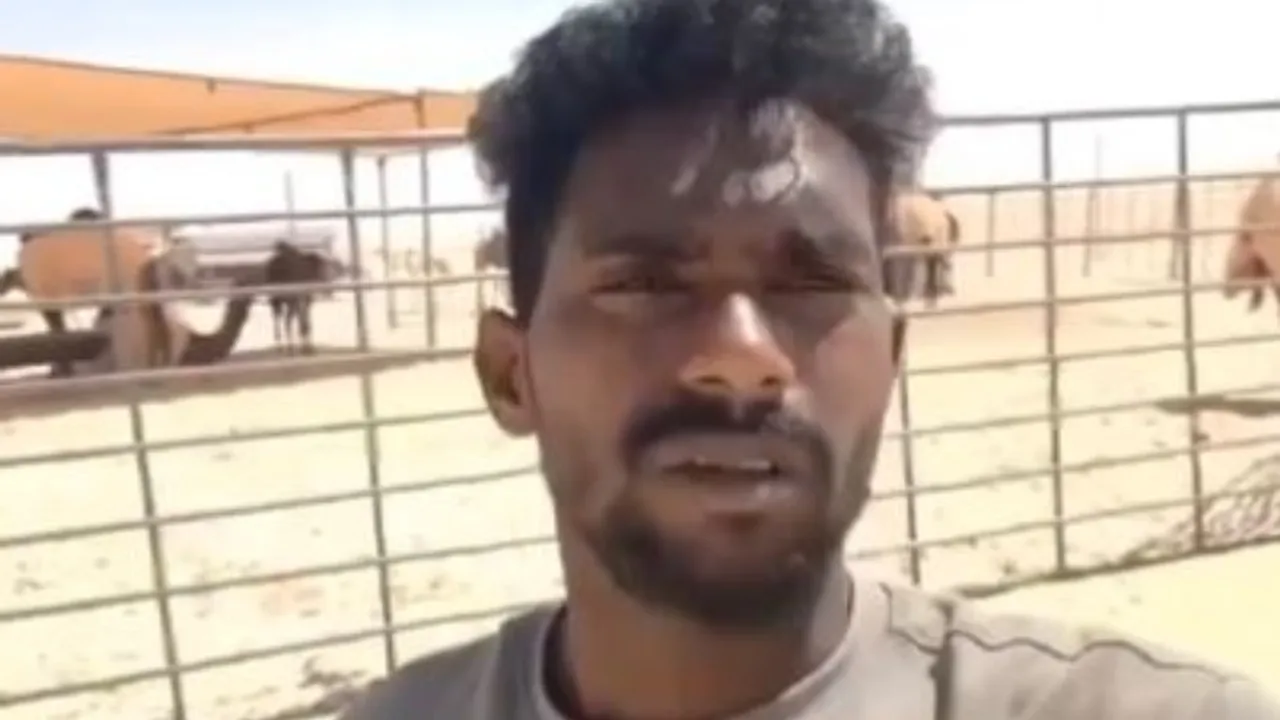 AP: సౌదీ అరేబియాలో ఒంటెల కాపరిగా చిక్కుకున్న కోనసీమ వాసి.. స్వదేశానికి వచ్చేందుకు..
