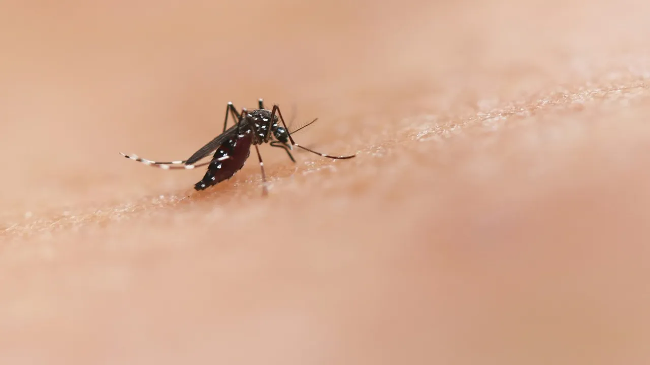 Most Dangerous Creature: ప్రపంచంలో అత్యంత ప్రమాదకరమైన జీవి మీ ఇంట్లోనే ఉందని తెలుసా..!