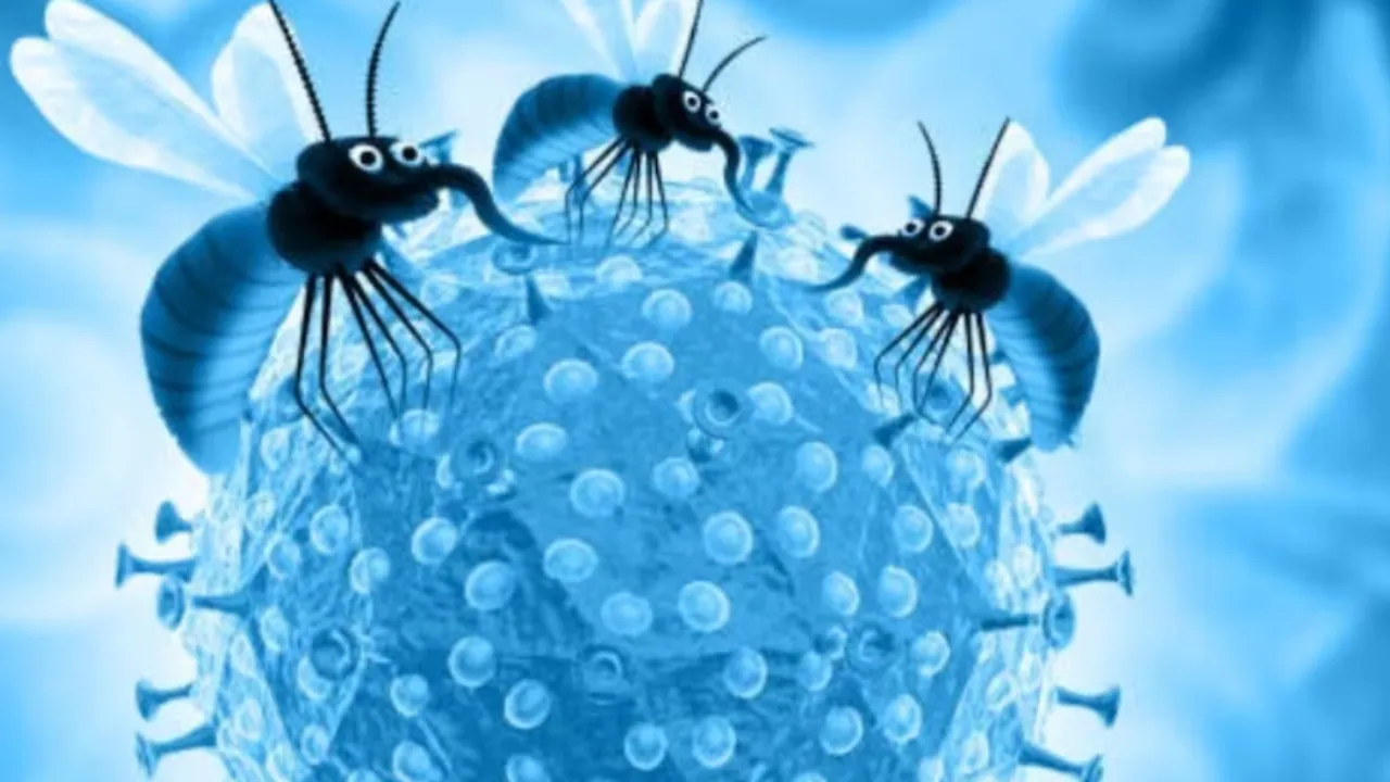 Zika Virus : పుణెలో జికా వైరస్ కలకలం‌.. ఇద్దరు గర్భవతులకు పాజిటివ్!