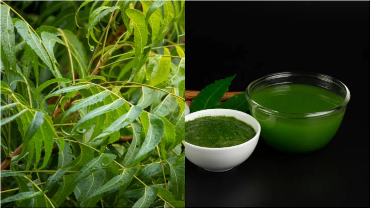 Neem Leaves Water Bath: వేప ఆకుల నీటితో స్నానం చేయడం వల్ల కలిగే ప్రయోజనాలు ఇవే!