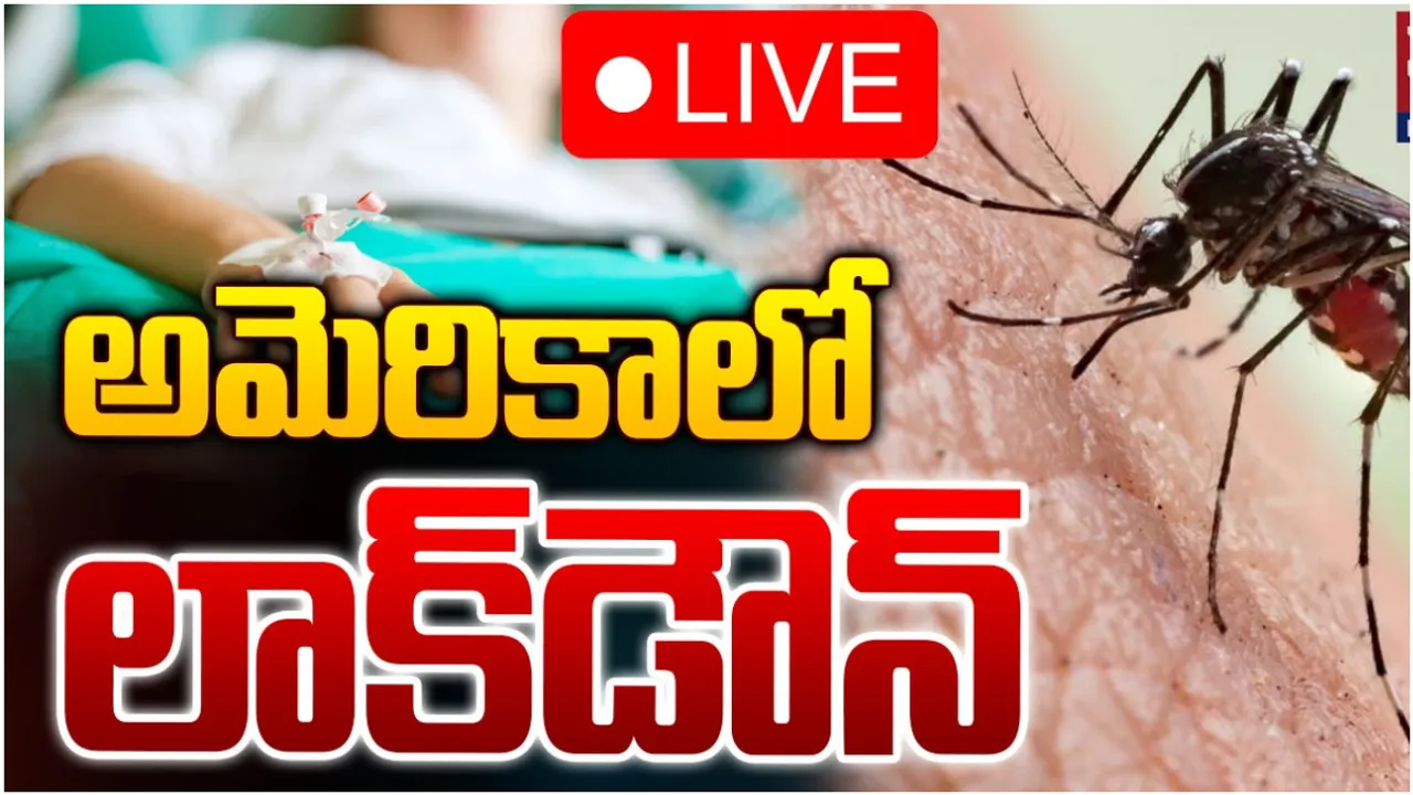 Lockdown: అమెరికాలో మళ్లీ లాక్ డౌన్.. విజృంభిస్తున్న కొత్త వైరస్!