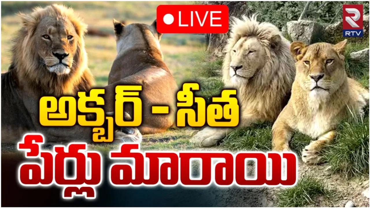 Lions Name: ఎట్టకేలకు మారిన సింహాల పేర్లు.. ఏ పేర్లు పెట్టారంటే!
