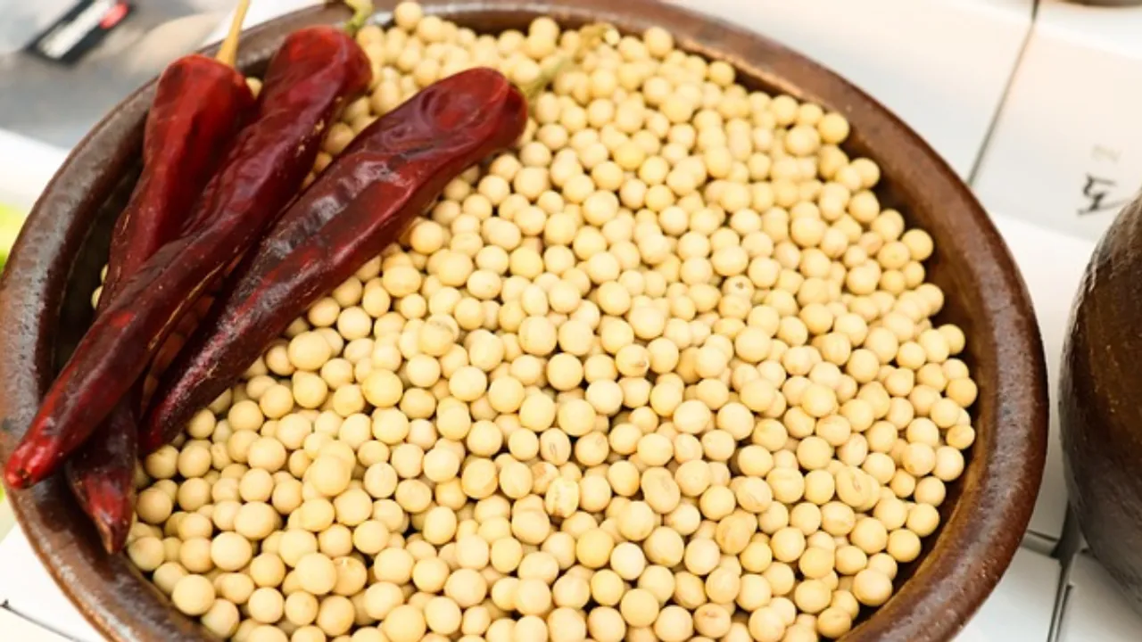 Soybeans : సోయాబీన్స్‌తో అద్భుతమైన శక్తి.. వీటిని ఆహారంలో చేర్చుకుంటే రోగాలు పరార్