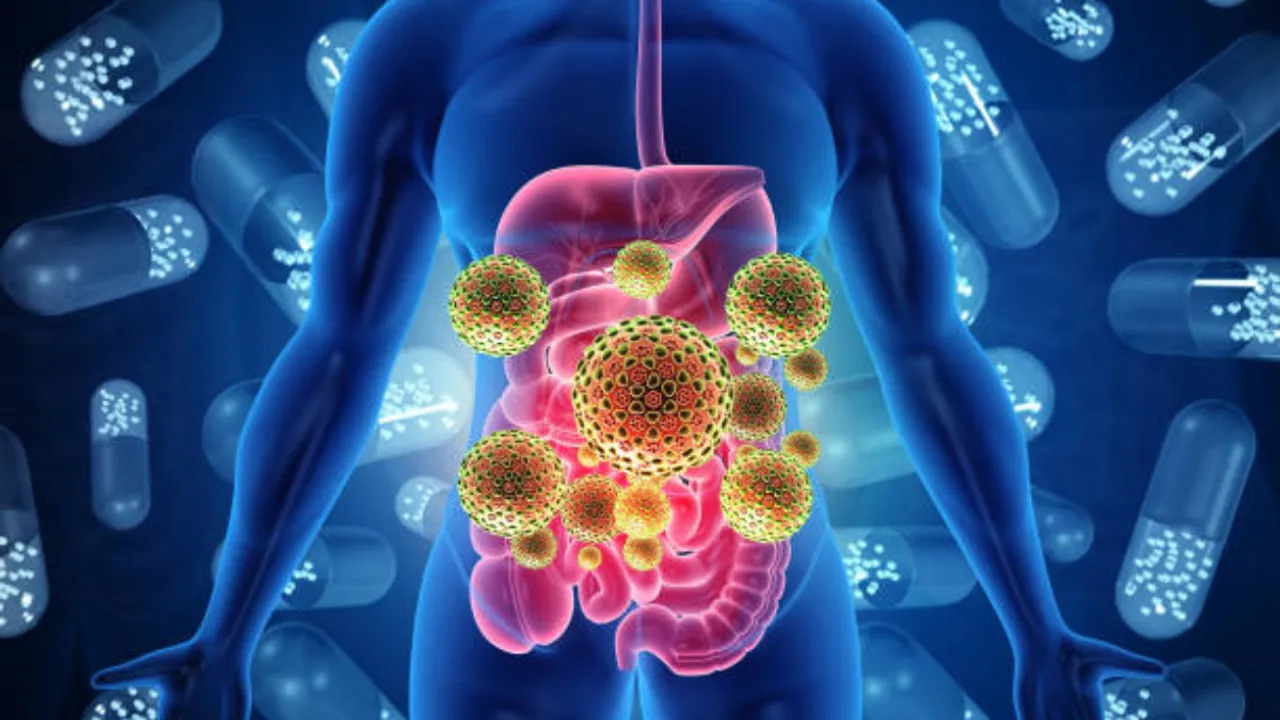 Stomach Infection: వర్షాకాలంలో కడుపు ఇన్ఫెక్షన్‌ను ఇలా నయం చేసుకోవచ్చు!