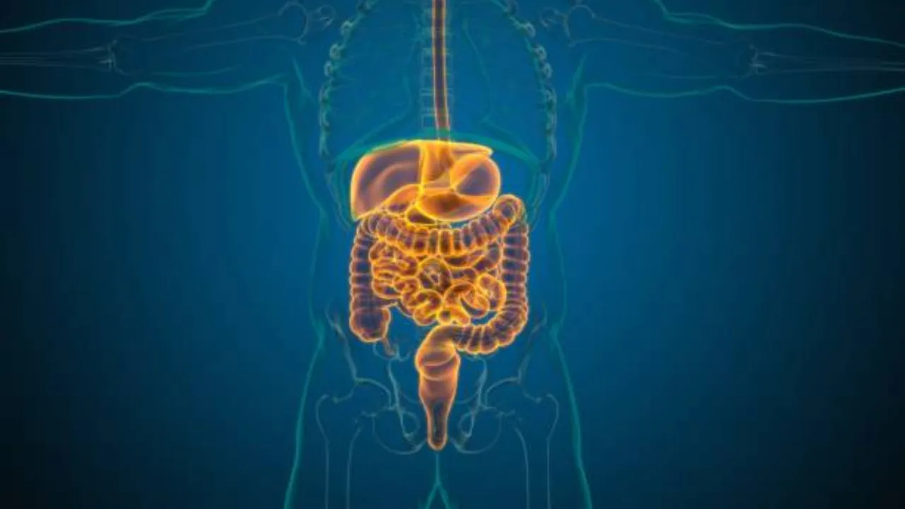 Health Tips: పేగులు ఆరోగ్యంగా ఉండాలంటే.. ఈ ఫుడ్స్ తినండి!