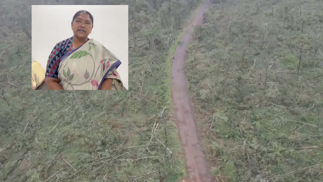 Forest Collapse: సమ్మక్క-సారక్కల దయతోనే పెద్ద ముప్పు తప్పింది.. చెట్లు కూలిన సంఘటనపై మంత్రి సీతక్క 
