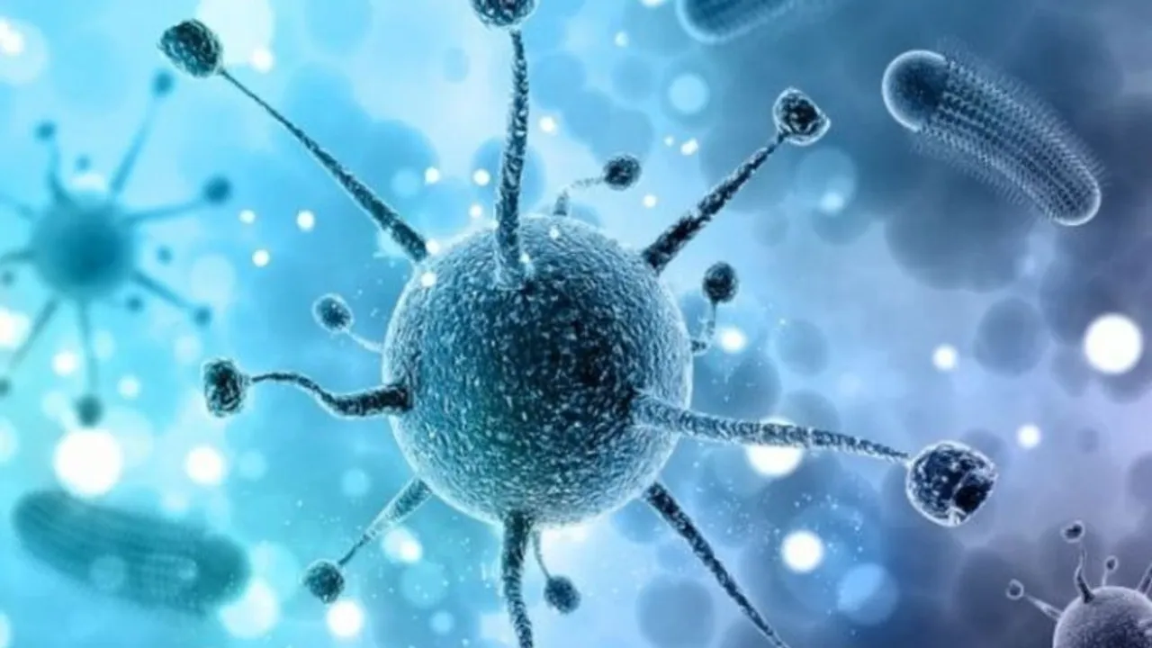 Virus: మానవాళికి మరో ముప్పు.. చైనాలో బయటపడ్డ 125 వైరస్‌లు