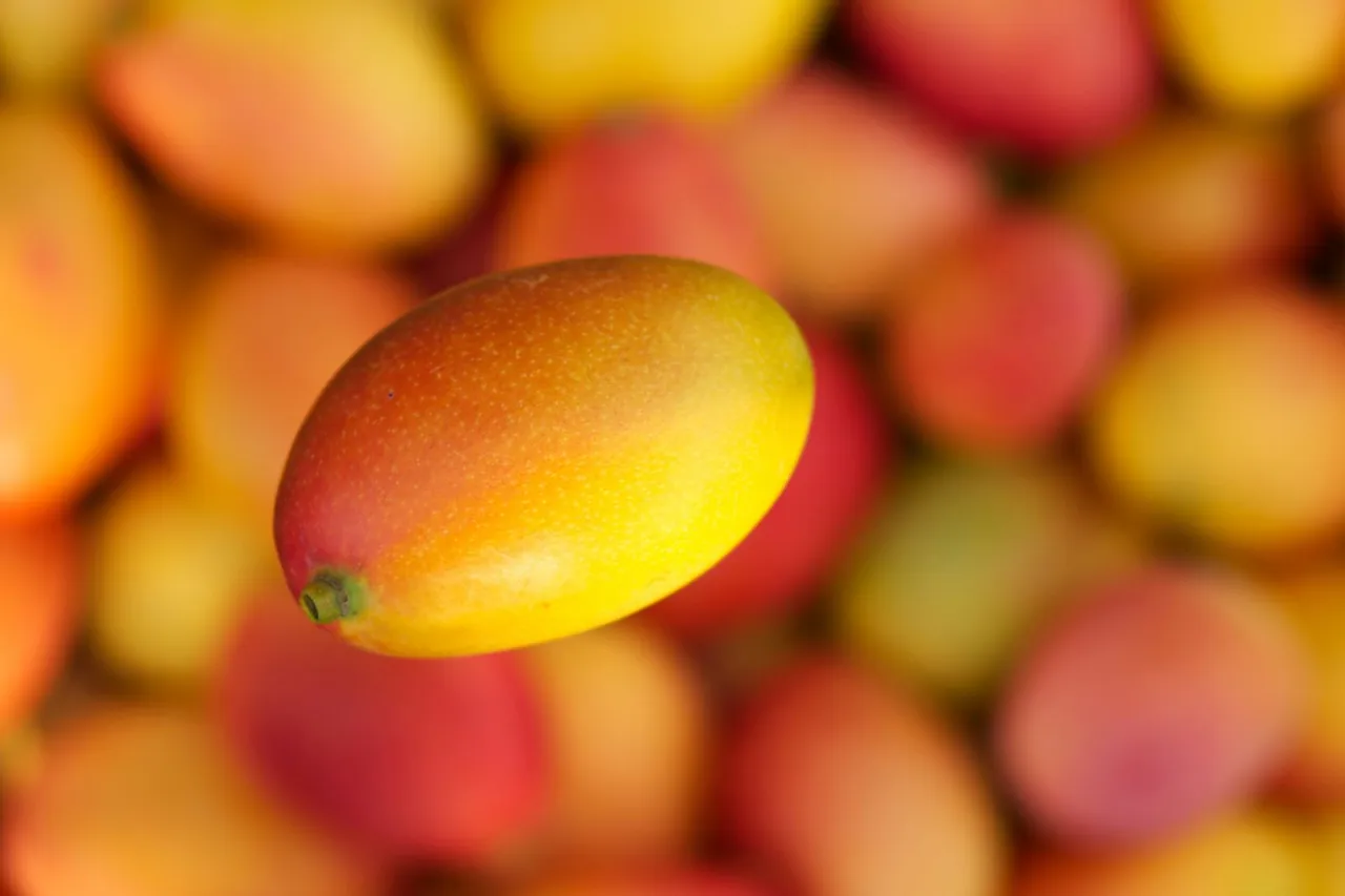 What’s The Sweetest Thing Flying Air India This Summer? It’s Mangoes!