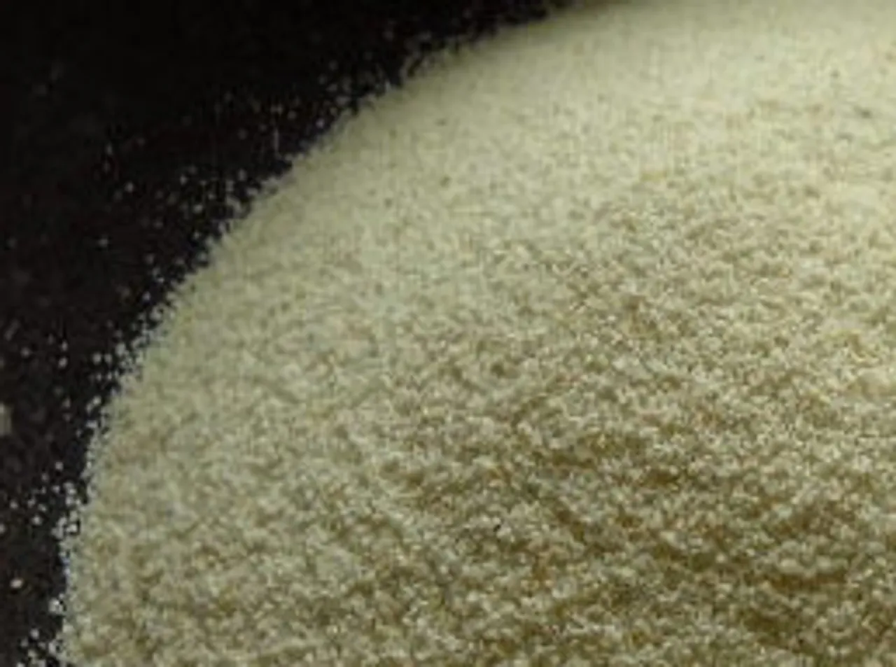 semolina line up