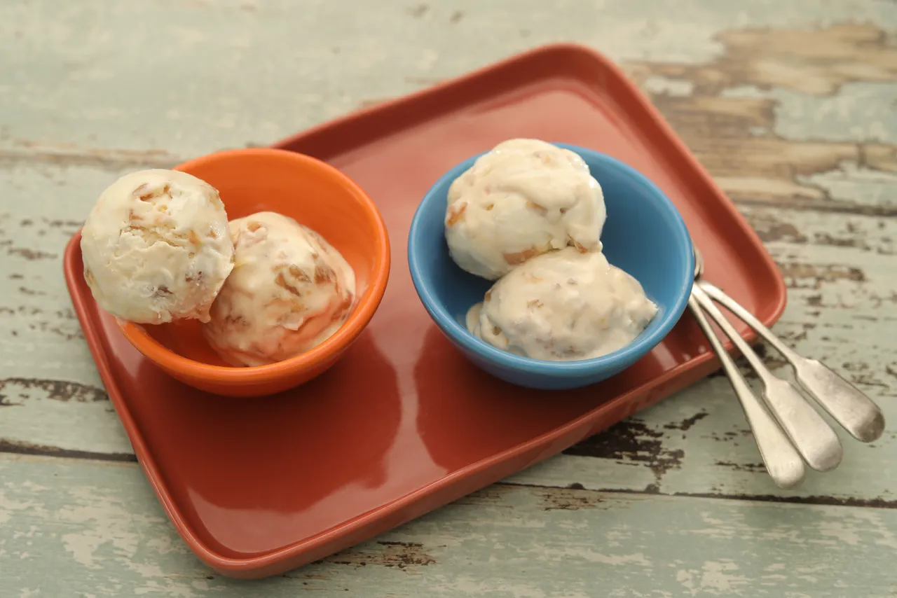 Jackfruit Ice Cream 4