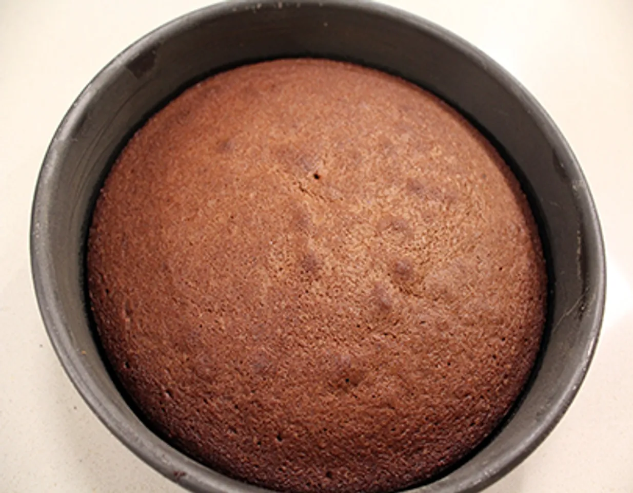 Dark Chocolate Sponge