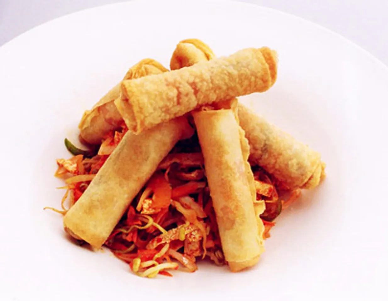 Tofu And Vegetable Spring Rolls