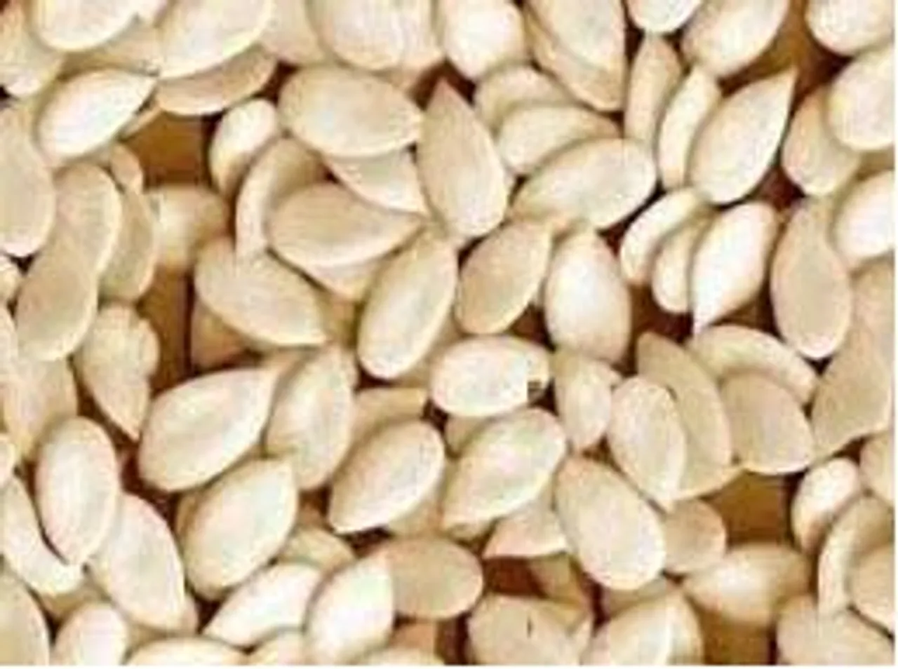 Melon Seeds