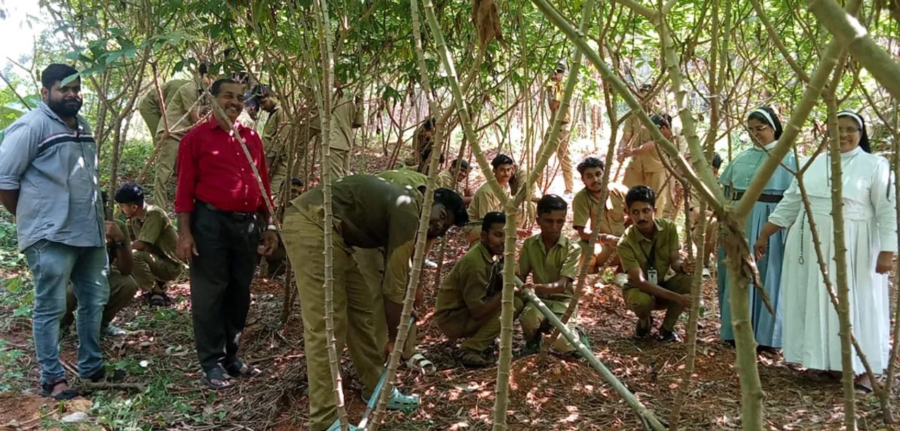 kaduthuruthy mary matha iti