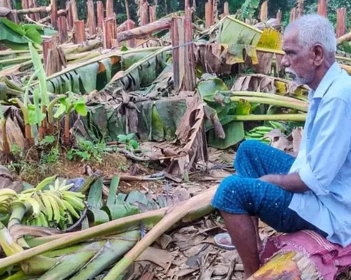 VAZHA KOTHAMANGALAM.