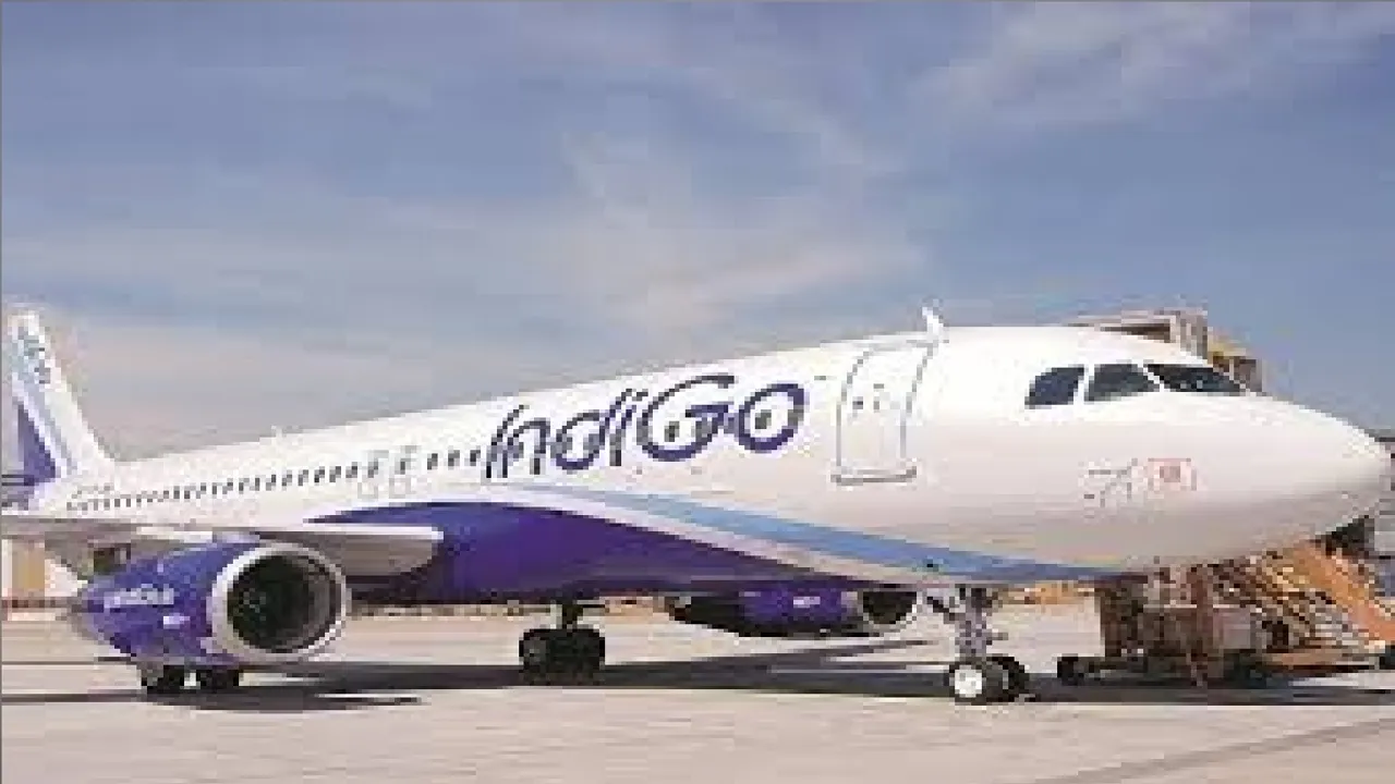 indigo Untitledasean