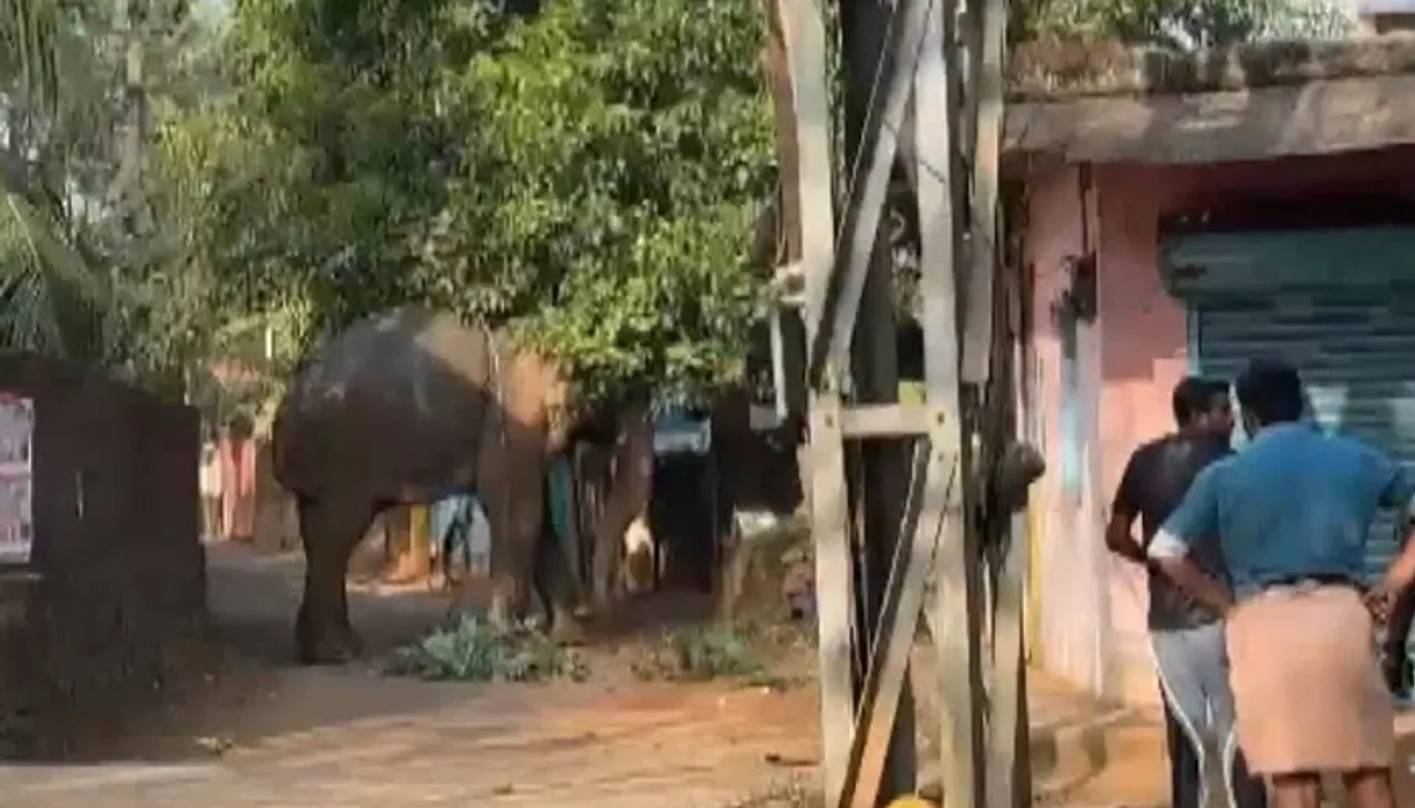 kunnamkulam