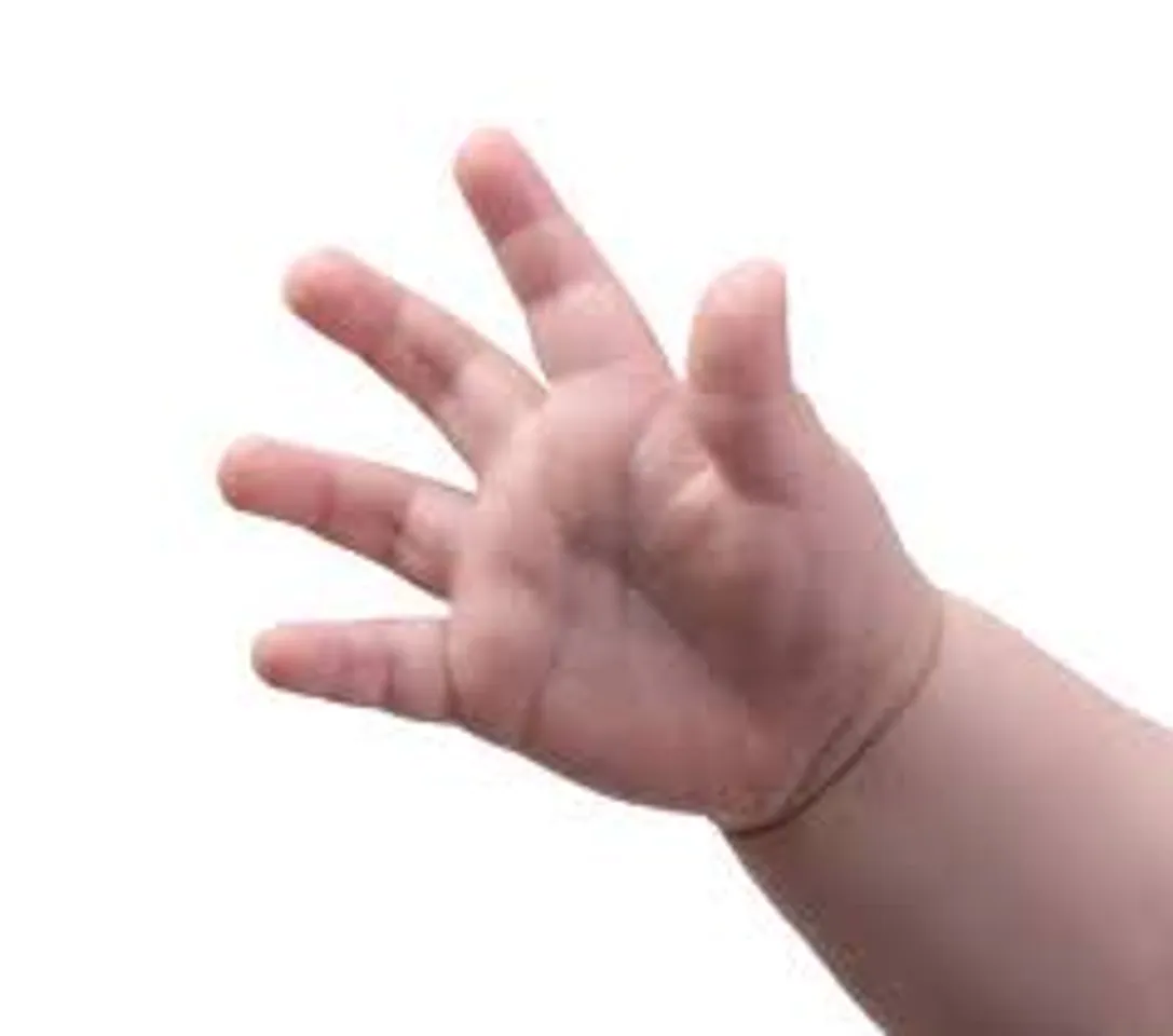 4242
