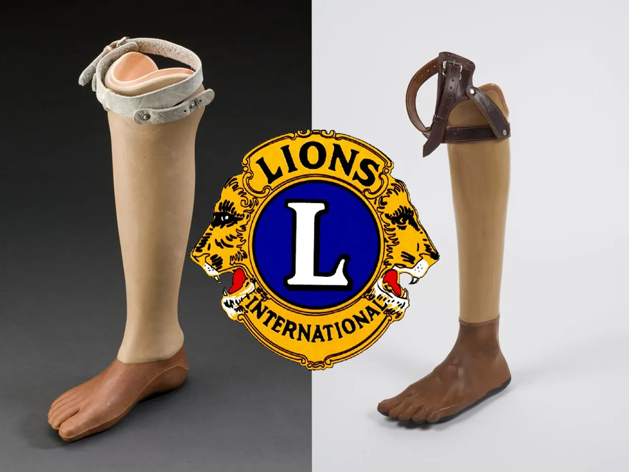 lions club charity-2