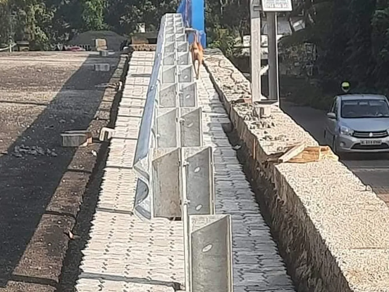security fence